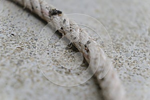 White rope on the dock