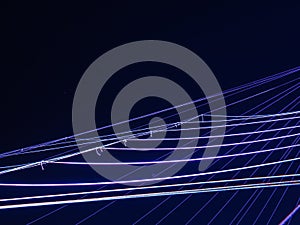 White Rope Inaugurate