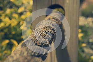 A white rope tied to a wooden fence at a garden