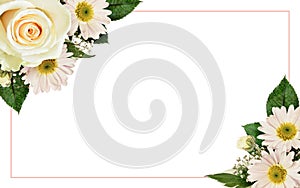 White rose and asters flowers in a floral corner arrangement with pink frame isolated on white