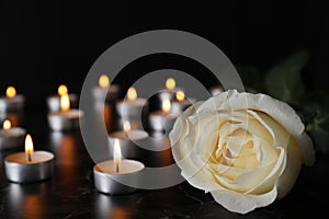 White rose and blurred burning candles on table in darkness, closeup. Funeral symbol