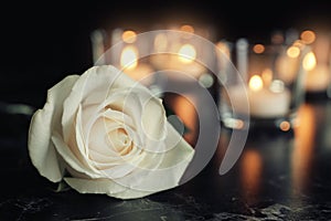 White rose and blurred burning candles on table in darkness, space for text.