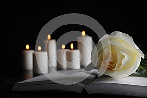 White rose, book and blurred candles on table in darkness, closeup with space for text. Funeral symbol photo