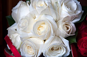 White Rose Bouquet