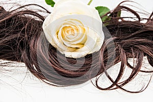 White rose on brown hair