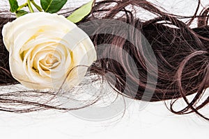 White rose on brown hair