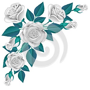 White rose corner with blue leaf isolated on white
