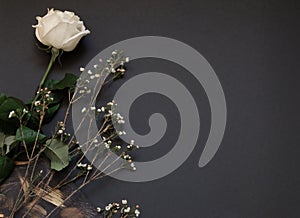 White rose and dried flowers black paper  background whith copy space.