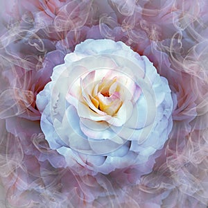 A white rose flower on a purple floral background.  Rose petals around the flower.  Flower in curls of smoke.