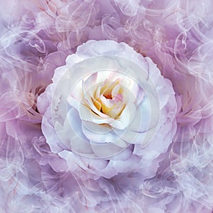 A white rose flower on a purple floral background.  Rose petals around the flower.  Flower in curls of smoke.