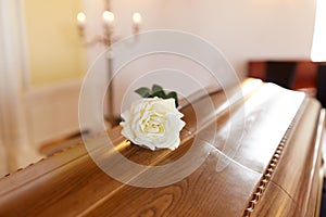 White rose flower on wooden coffin in church