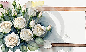 white rose flowes background There are small green leaves