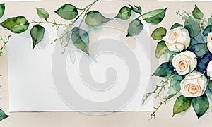 white rose flowes background There are small green leaves