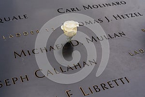 A white rose on the Ground zero memorial
