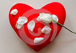 The white rose on the heart pillow