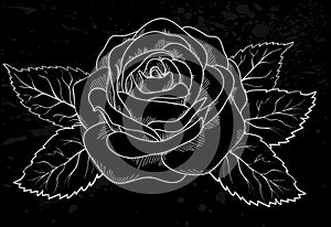 White rose outline with gray spots on a black back