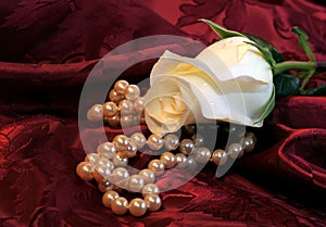 White Rose And Pearls photo