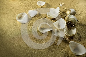 White rose petals on gold dust background