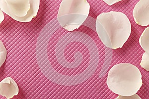 White rose petals on a quilted pink background