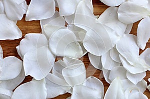 White rose petals on a wooden surface