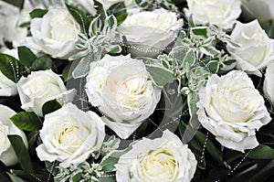 White rose is purity photo