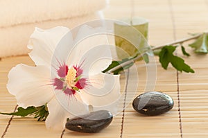 White Rose of Sharon Flower in a Spa or Bathroom