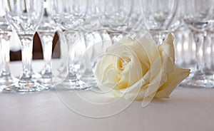 White rose on the table, in the background glasses of champagne, wedding event