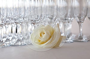 White rose on the table, in the background glasses of champagne, wedding event