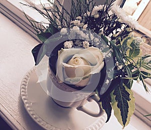 White Rose In A Teacup