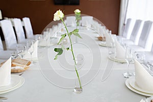 White rose in vase with water on decorated table with cutlery in