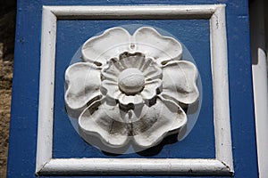 White Rose of York