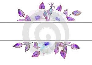 White rosehip flowers, flower arrangement in a geometric frame. Floral poster, invitation in purple tones. Watercolor compositions