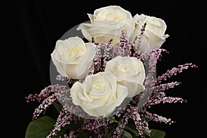 White roses