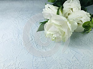 White roses arrangement on soft blue details background.
