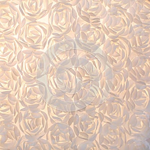 White roses background close up