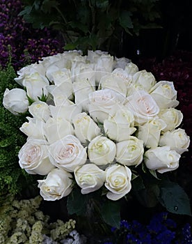 White Roses Background. Variety of white roses in beautiful bouquet. Bridal bouquet of white rose in bright colors in flower shop