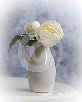 White roses in ceramic vase