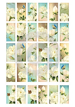 White Roses Domino A4 Collage Sheet