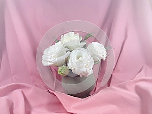 White roses flowers arrangement in vase on pink background.