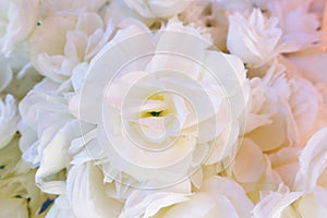 White roses and pink flowers for a very beautiful and fragrant wedding event
