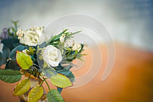 the white roses on the table