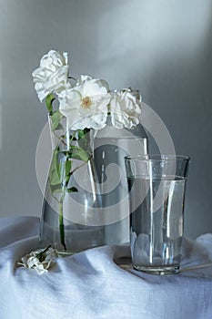 White roses in tall glass vase