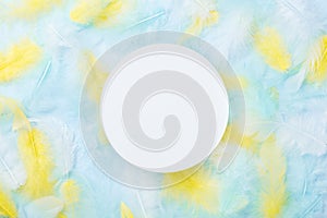 White round card on colorful feathers background. Fashion pastel style.