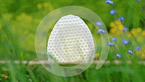 White round honeycomb in green grass with blue and yellow flowers background