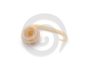 White roundworm parasite