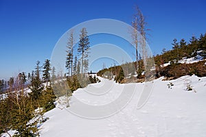 White route at Silesian Beskid on european Bialy Krzyz in Poland