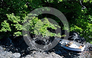 White rowboat hiding in bushes near Oak Bay