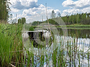 A white rubber boat on an overgrown river bank