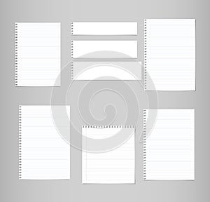 White ruled, lined note, copybook, notebook paper sheets stuck on grey background.