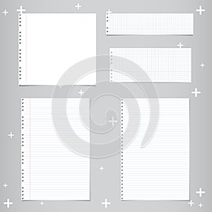 White ruled, striped, squared notebook, copybook paper sheets and abstract stars on gray background.